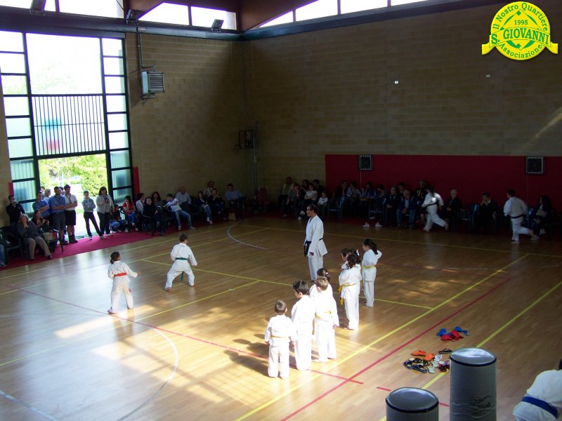 Festa_Primav_2011_karate